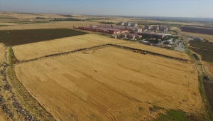 Şanlıurfa'da hükümlüler tarımsal üretim yaparak meslek öğreniyor 