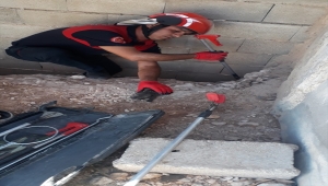Şanlıurfa'da iki duvar arasına sıkışan köpek yavruları kurtarıldı