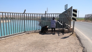 Şanlıurfa'da sulama kanalına düşen genç akıntıya kapıldı