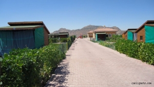 Sebati Ataman: "Hobi bahçesi mi? Devre mülk mü işletiyorsunuz?"