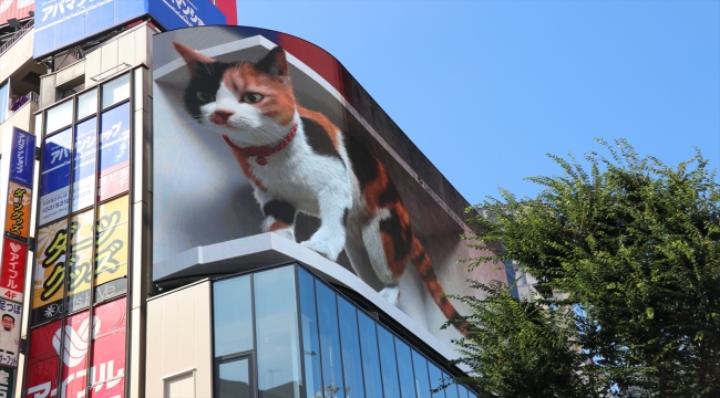 Tokyo'nun yeni misafiri 3D kedi, şehri izliyor ve halkı selamlıyor