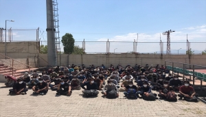 Van'da 113 göçmen yakalandı