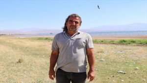 Van'daki martı ölümlerinde salgın hastalık bulgusuna rastlanmadı