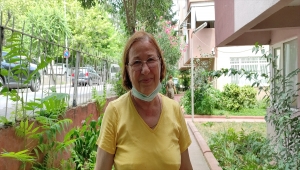 Vatandaşları rahatsız eden sivrisinekler, İstanbul'un farklı ilçelerinde de görülmeye başladı