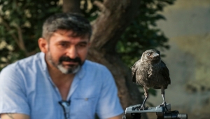 Yolda bulduğu yavru karga ile muhabbeti görenleri şaşırtıyor