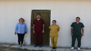 Afyonkarahisar'da tedavileri tamamlanan 12 kerkenez kuşu doğal ortamına bırakıldı