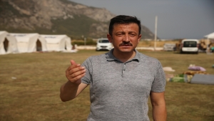 AK Parti Genel Başkan Yardımcısı Dağ'dan yangınlara ilişkin açıklama: