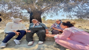 AK Parti Genel Merkez Kadın Kolları Genel Başkanı Keşir, Manavgat'ta incelemelerde bulundu: