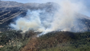 Antalya'nın Akseki ilçesindeki ormanlık alanda çıkan yangına müdahale ediliyor