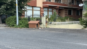 Apartman sakini Özay Kaya'nın, sokak köpeği Köpük için verdiği mücadele amacına ulaştı 