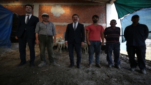 Balıkesir'deki yangında hayvanları telef olan üreticiye belediyeden destek