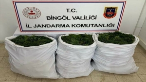 Bingöl'de 84 kilogram esrar ele geçirildi