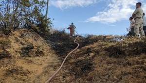 Bingöl'de ormanlık alanda çıkan yangın söndürüldü