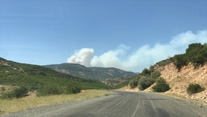 Bingöl'deki orman yangınına müdahale sürüyor