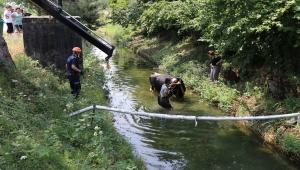 Bolu'da sulama kanalına düşen ineği itfaiye kurtardı