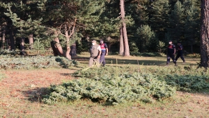Bolu'da yangın riski nedeniyle girişe yasaklanan ormanlarda jandarma kuş uçurtmuyor