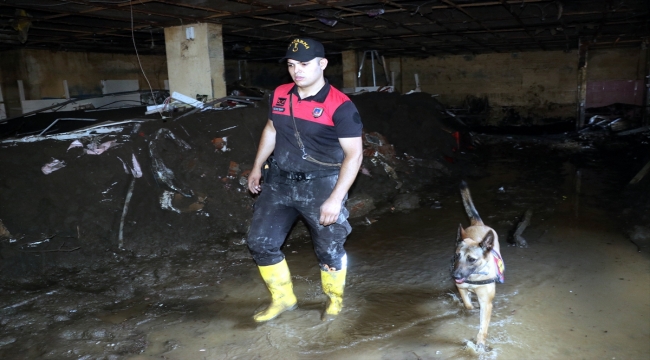 Bozkurt'taki çalışmalara arama kurtarma köpekleri de katılıyor