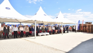 "Bursa siyahı" incirin hasadı başladı