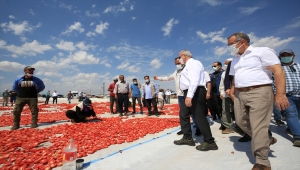 Diyarbakır Valisi Karaloğlu, Karacadağ'da domates kurutan işçilerle buluştu: