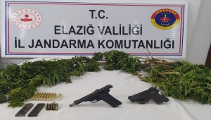 Elazığ'da evinin bahçesinde Hint keneviri yetiştirdiği iddia edilen şüpheli yakalandı