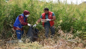 Elazığ'da gönüllü gençler Hazar Gölü kıyısında çevre temizliği yaptı