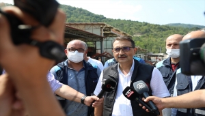 Enerji ve Tabii Kaynaklar Bakanı Dönmez, Ayancık ilçesinde incelemelerde bulundu