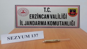 Erzincan'da nükleer sanayide kullanılan sezyum olduğu değerlendirilen madde ele geçirildi