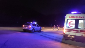 Erzincan'da otomobilin çarptığı orman muhafaza memuru hayatını kaybetti