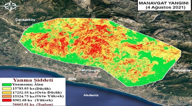 Gebze Teknik Üniversitesi, orman yangınlarının etkili olduğu alanları haritalandırdı:
