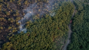 GÜNCELLEME 2 - Balıkesir'in Savaştepe ilçesinde çıkan orman yangını kontrol altına alındı