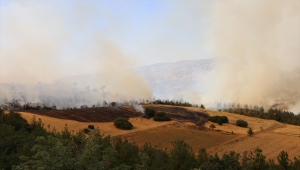GÜNCELLEME 2 - Denizli'de çıkan orman yangınına müdahale ediliyor