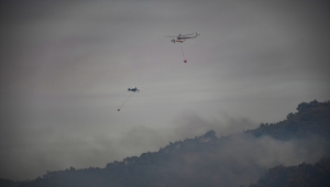 GÜNCELLEME 3 - Adana'da tarlada başlayıp ormanlık alana sıçrayan yangın kontrol altında