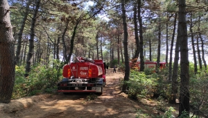GÜNCELLEME - Beykoz'da ormanlık alanda çıkan yangın söndürüldü