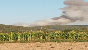 GÜNCELLEME - Bursa'da çıkan orman yangını havadan ve karadan müdahaleyle kontrol altına alındı