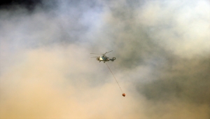 GÜNCELLEME - Uşak'taki orman yangını kontrol altına alındı