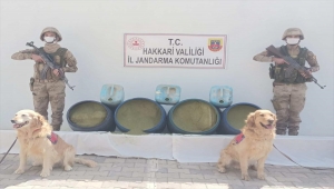 Hakkari kırsalında 318 kilo esrar ele geçirildi