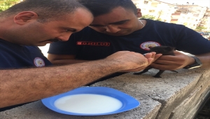 Hatay'da apartman boşluğunda mahsur kalan kedi yavrusunu itfaiye kurtardı