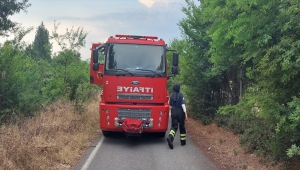 Hatay'da çıkan bahçe yangını söndürüldü