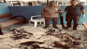 Hatay'da kaçak avlanan kişiye 28 bin 491 bin lira ceza uygulandı