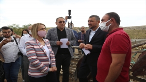 Hayvanları göçük altında kalarak telef olan Nevşehirli yetiştiriciye devletten yardım eli