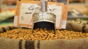 Hitit Üniversitesi, Çorum leblebisi için "standart kalite parametreleri" belirledi