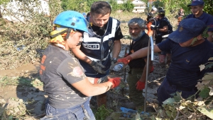 İnebolu ilçesinde yaşanan sel felaketinde çamura saplanan kaplumbağa kurtarıldı 