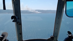 İzmir'de makilik alanda çıkan yangına müdahale ediliyor