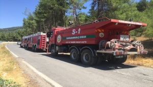 Kahramanmaraş'ta ormanlık alanda çıkan yangın söndürüldü