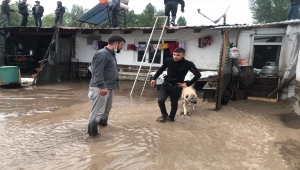 Kars'ta sağanak nedeniyle bir köyde su baskını oldu