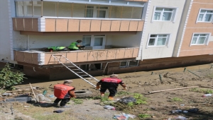 Kartal Belediyesi ekipleri, Kastamonu'daki sel felaketinde mahsur kalan kedileri kurtardı