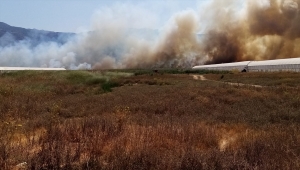 Kaş'ta sazlık alanda çıkan yangına müdahale ediliyor 