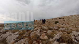 Kayseri Sarız'da yıldırım düşmesi sonucu 30 koyun telef oldu