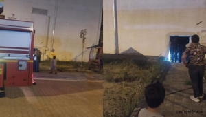 Kayseri Talas Anayurt'ta gece yarısı yılan avı