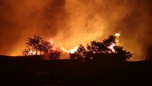 Kocaeli'de kereste fabrikasında yangın çıktı